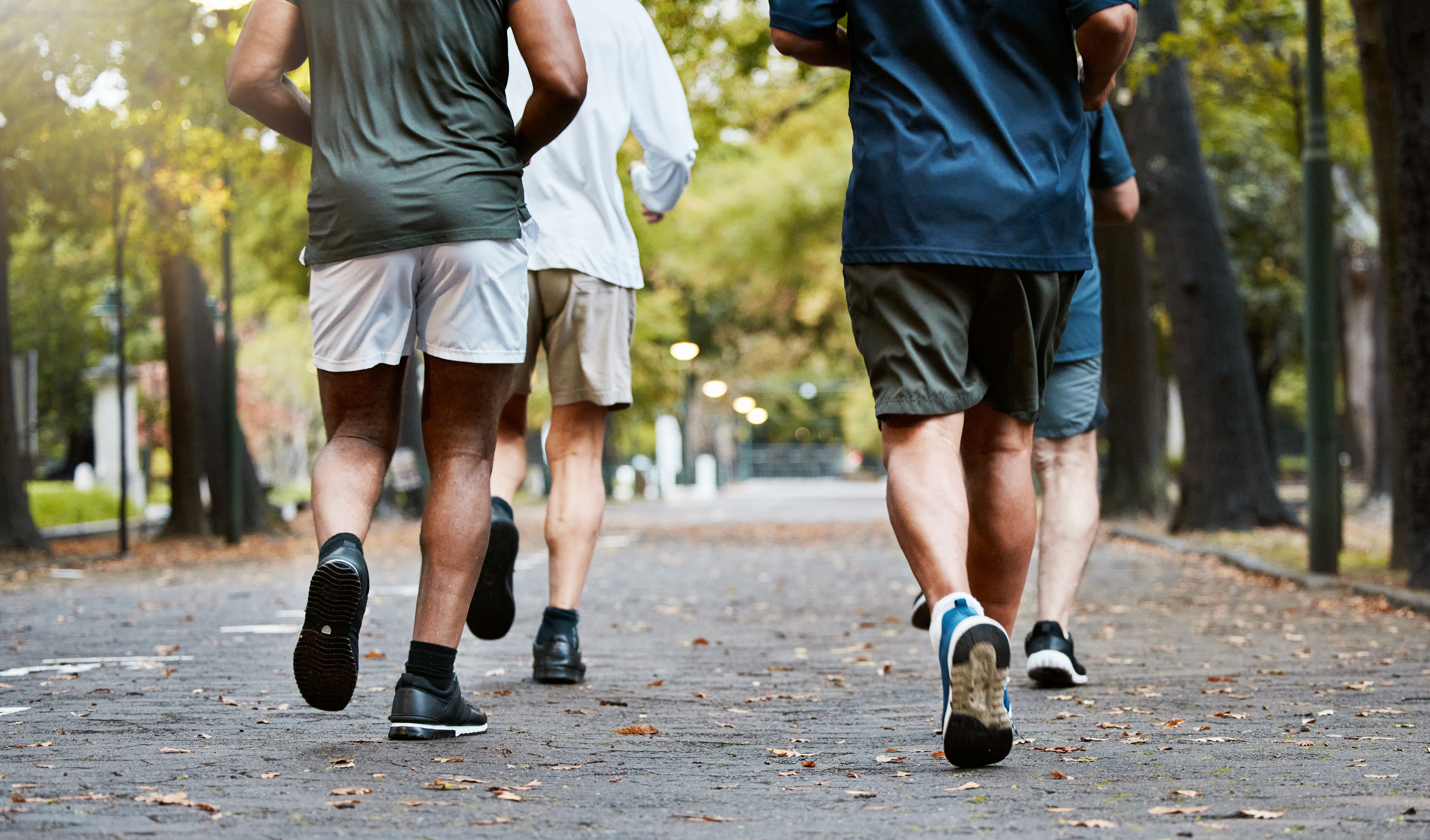 Group of men exercising in a park.