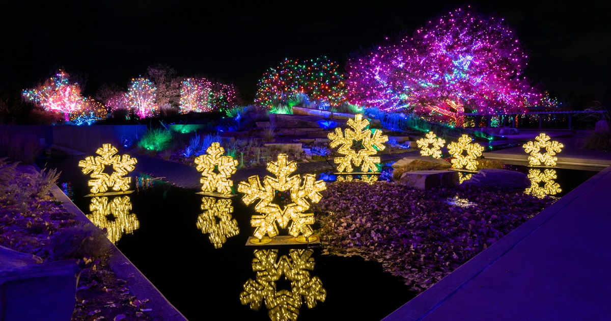 See the Magic of the Season with CU Medicine at Blossoms of Light