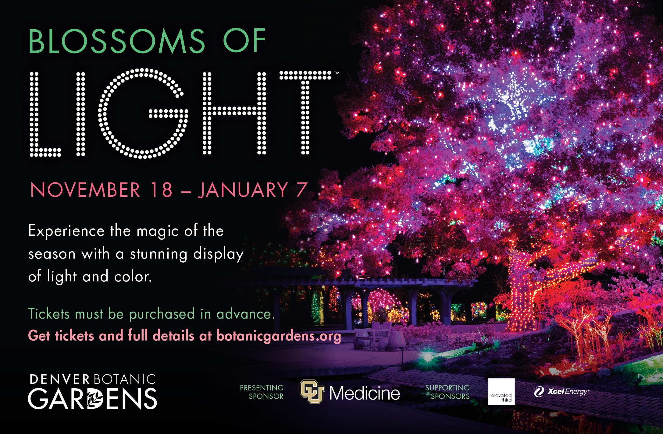 Take a Stroll with Us at the Denver Botanic Gardens for Blossoms of Light
